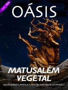 Revista Oásis 304