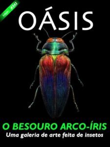 Revista Oásis 342
